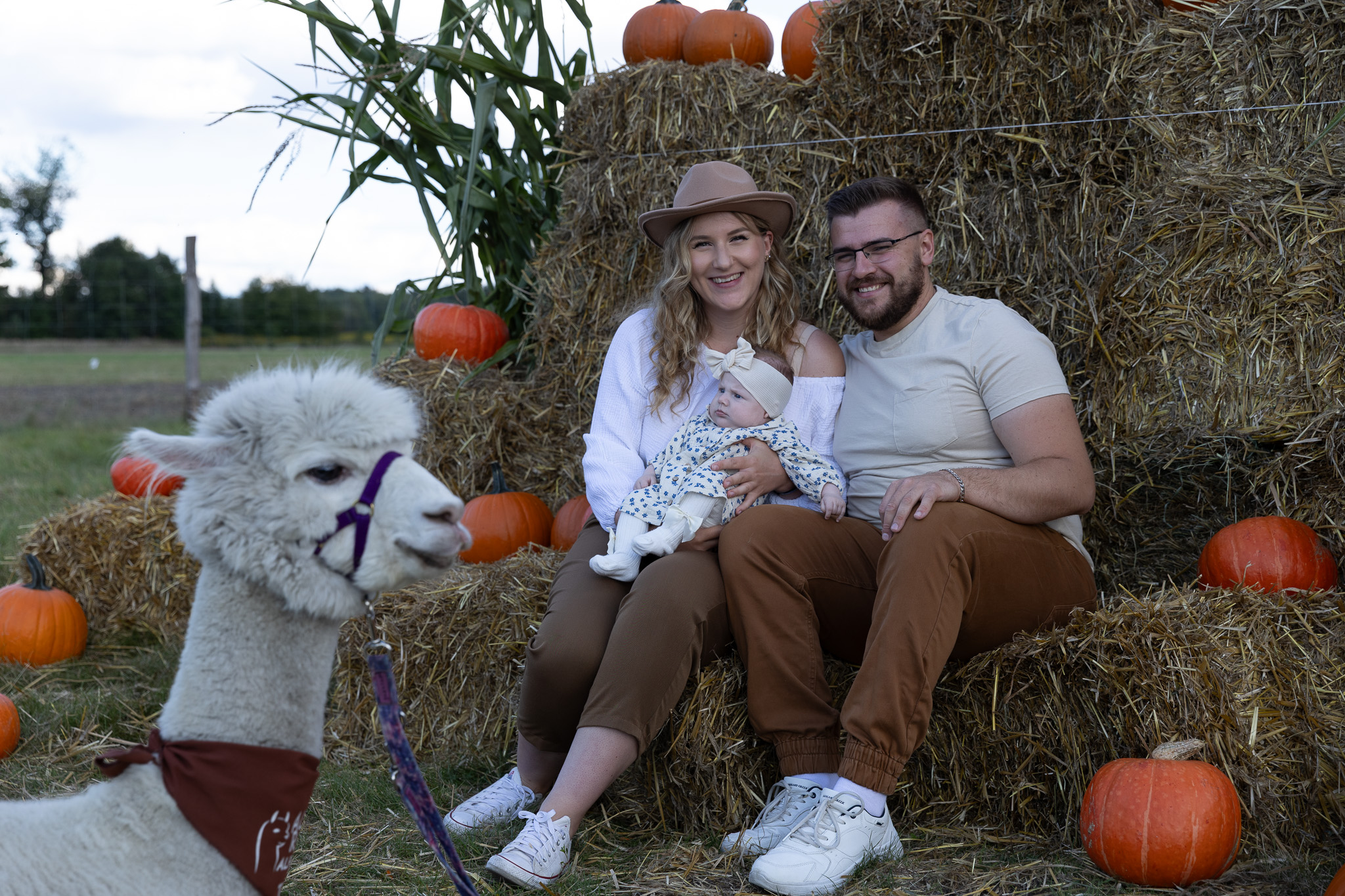 1N1A7676-2 1N1A7676-2